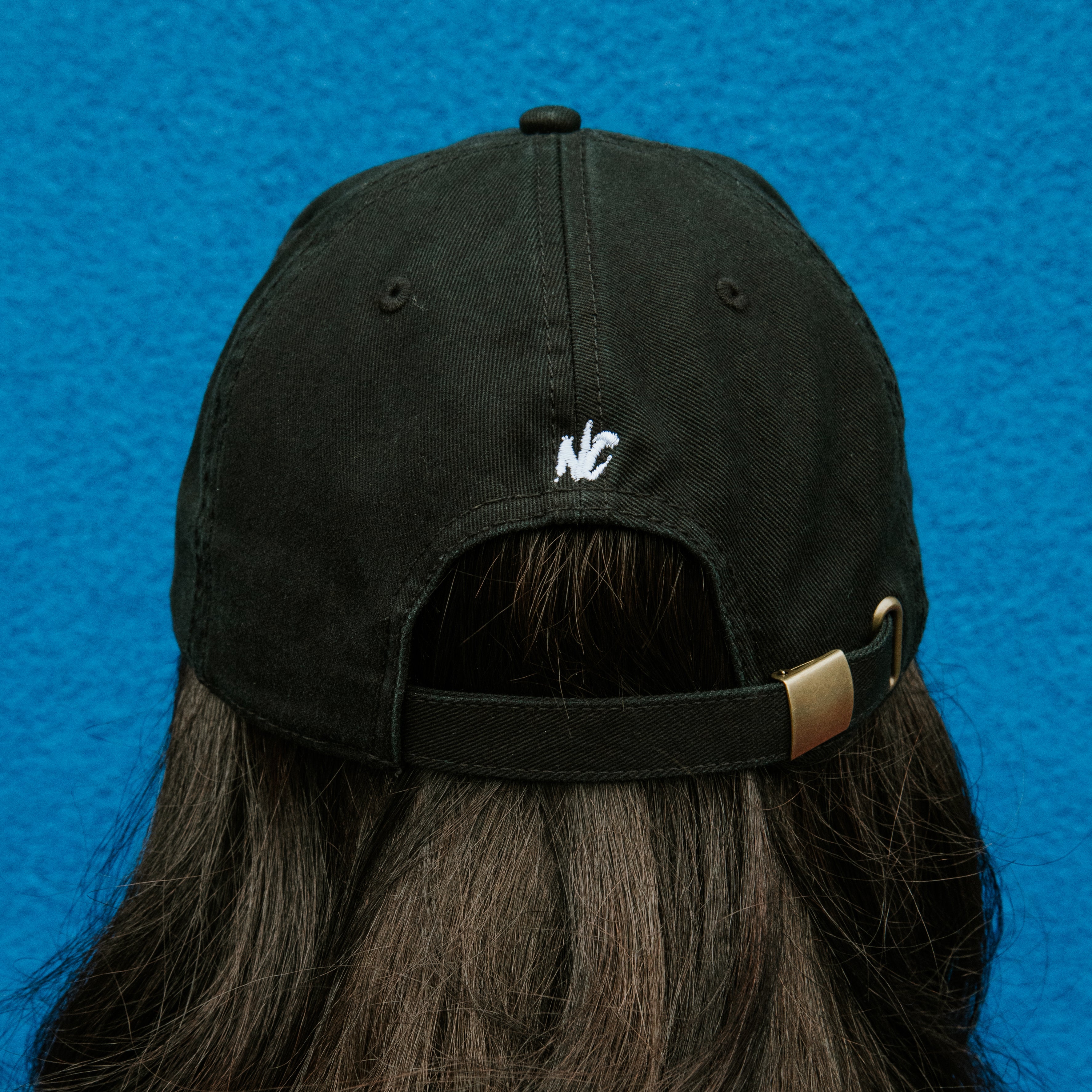 LaserDisc - Embroidered Hat