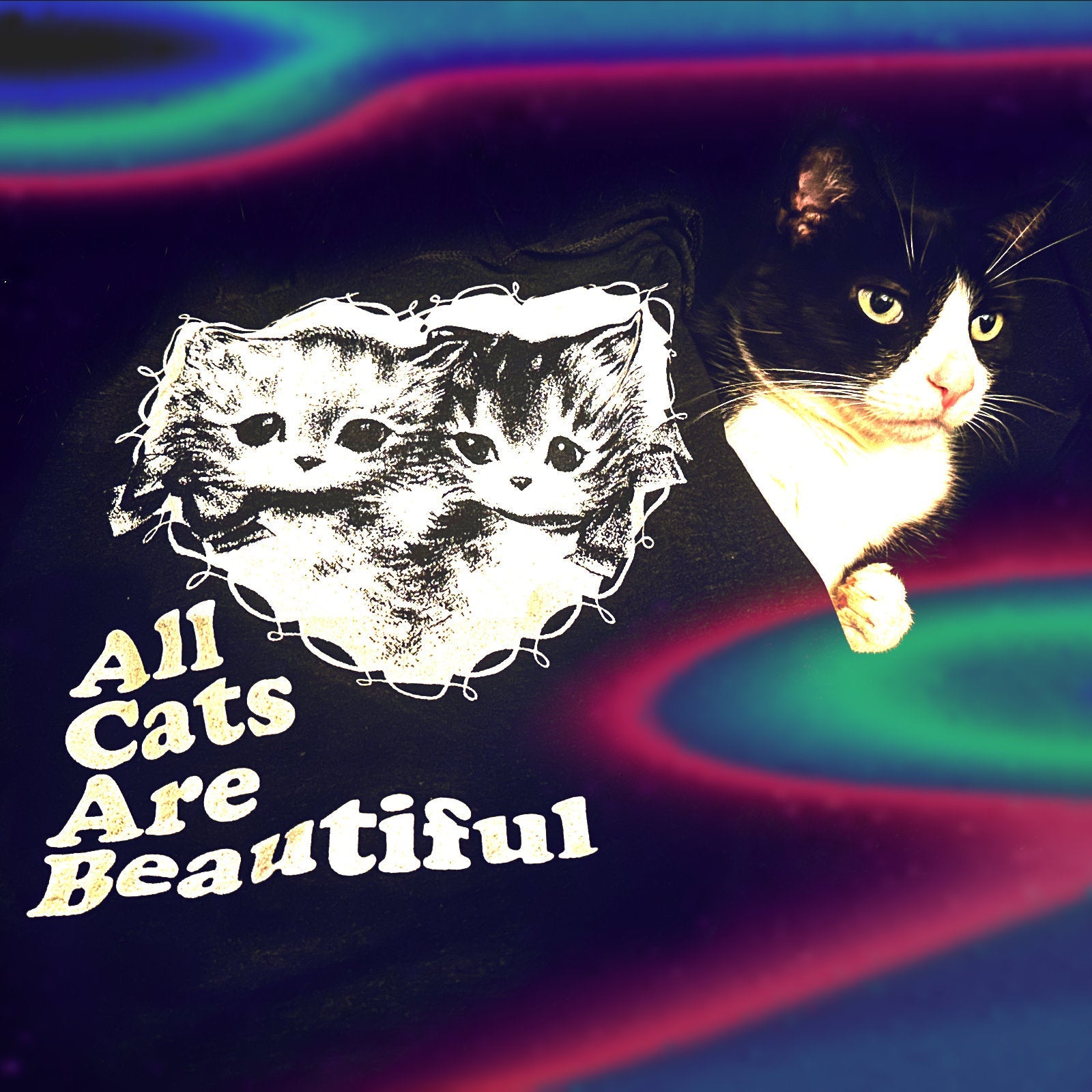 All Cats Are Beautiful Classic Tee