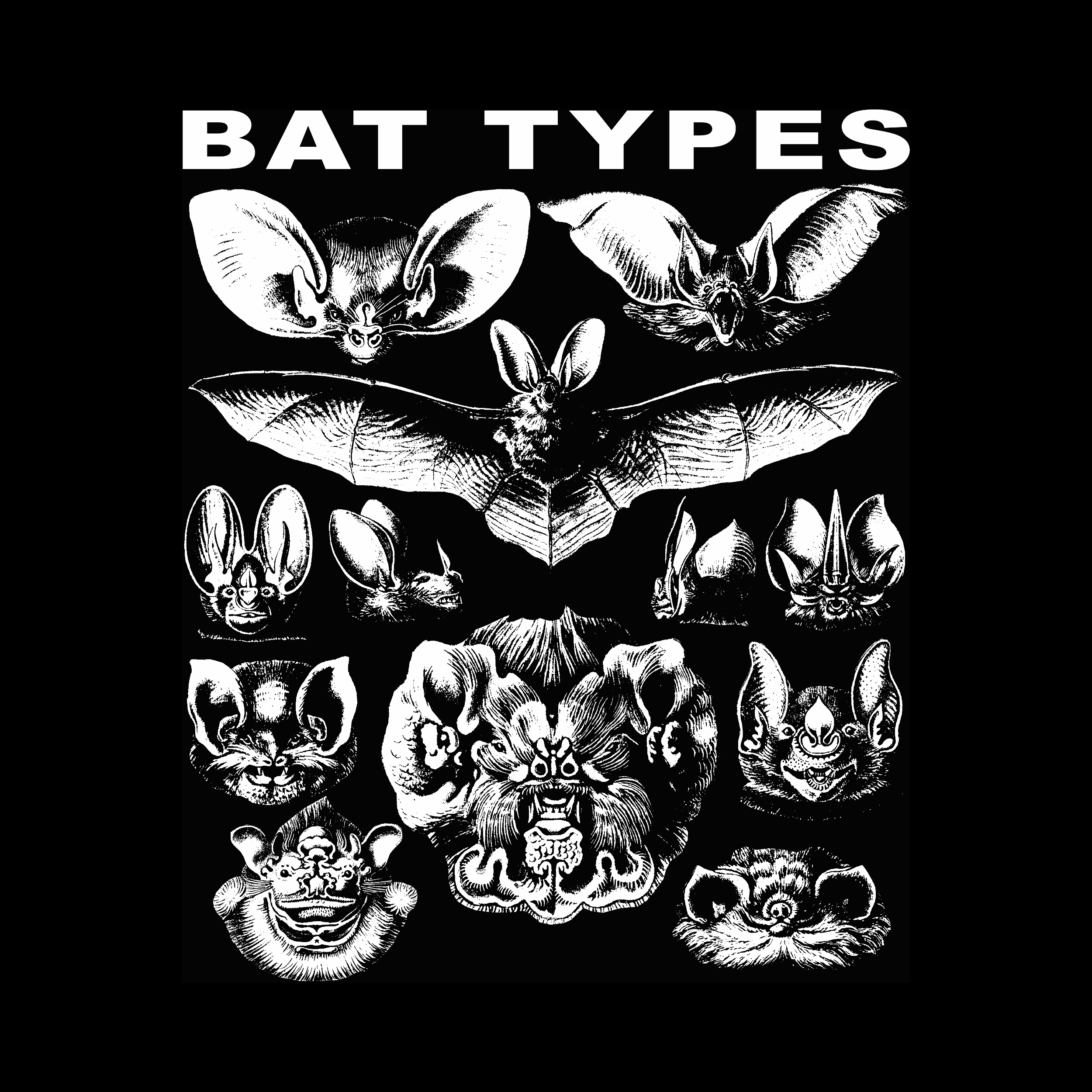 Bat Types Premium Tee